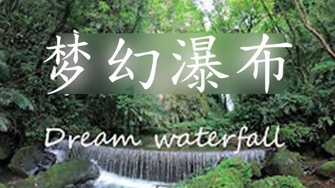 春雨直播app